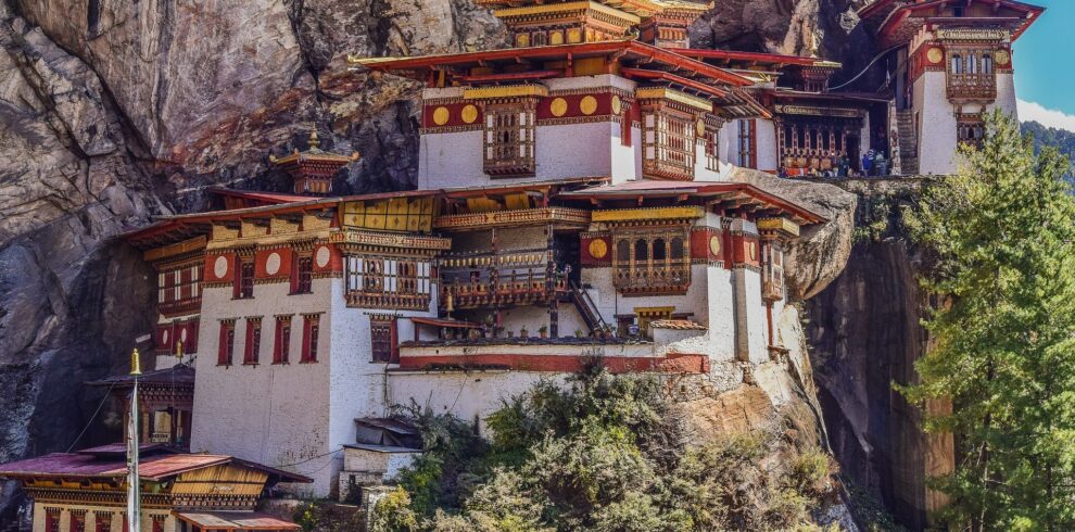 tigers nest 2691190 1920