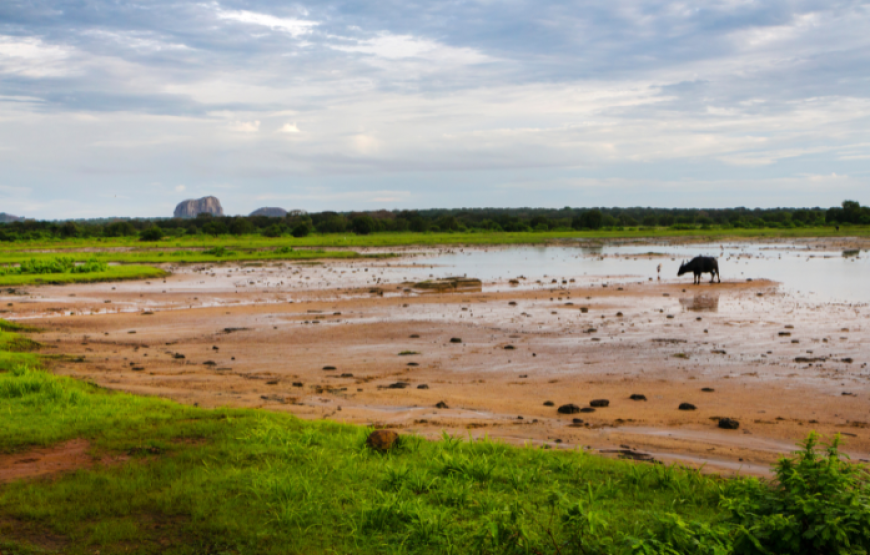 Highlights of Sri Lanka 14 Days