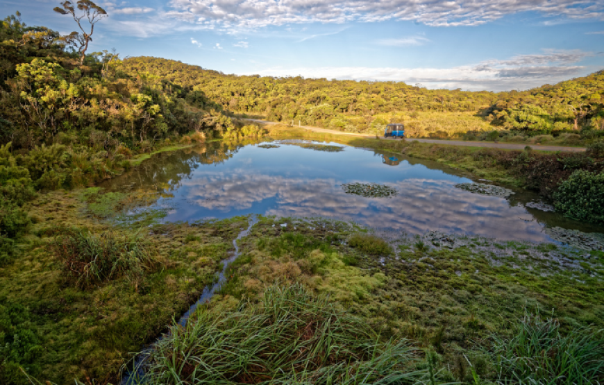 Endless Beauty Lanka 15 days