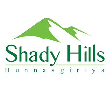 shaady hills