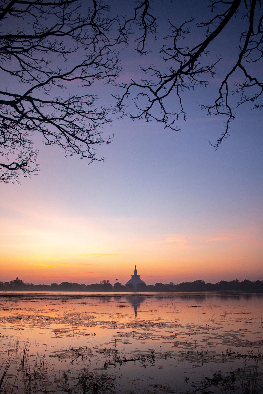 anuradhapura, sunset, lake, sri lanka, evening, ruwanweli maha seya, ruwanwelisaya, nature, landscape, anuradhapura, anuradhapura, anuradhapura, anuradhapura, sri lanka, sri lanka, sri lanka, sri lanka, sri lanka, ruwanwelisaya, ruwanwelisaya, ruwanwelisaya, ruwanwelisaya