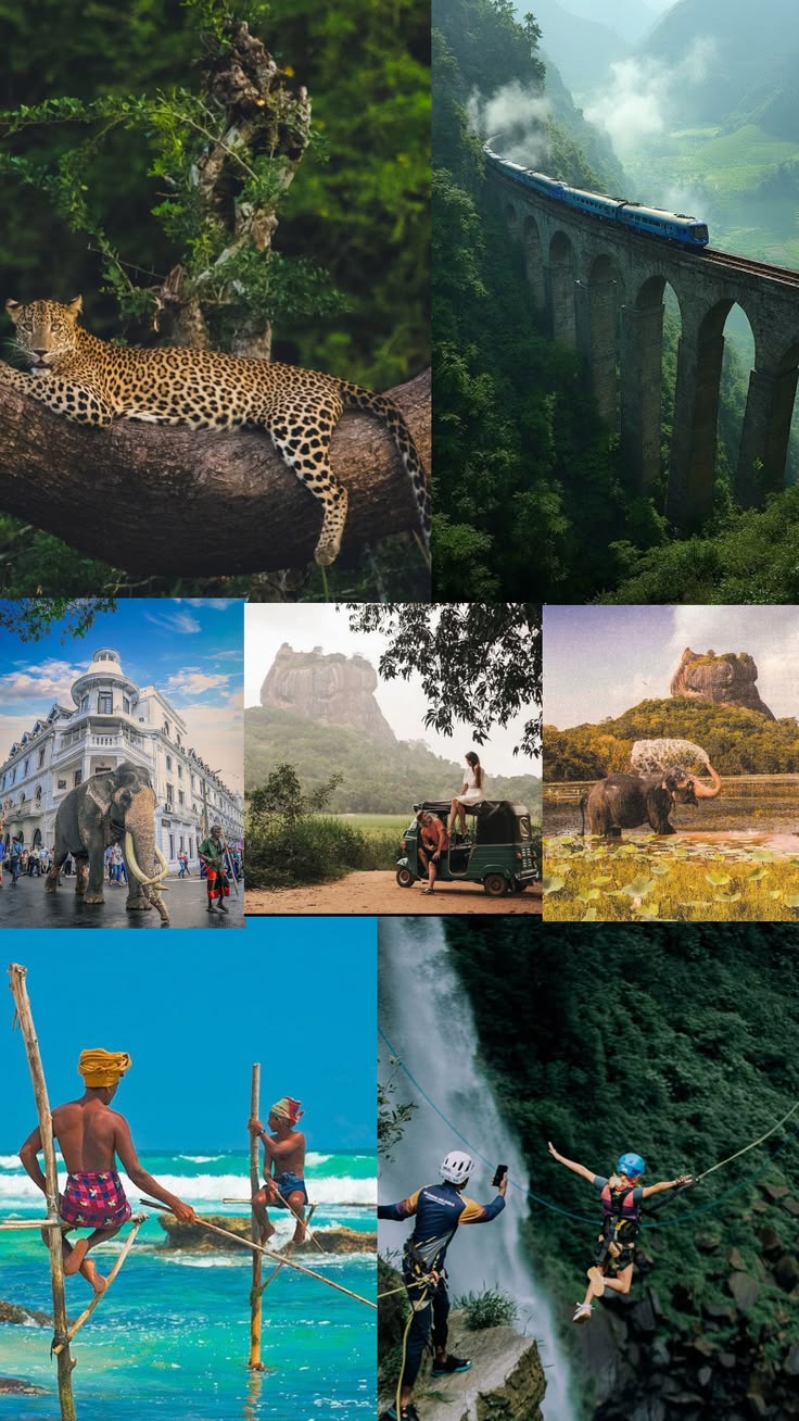 #srilanka #ceylon #srilankan
